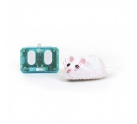 Hexbug RC Mouse Cat Toy
