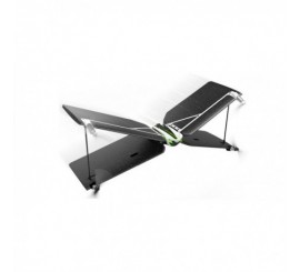 Parrot Swing