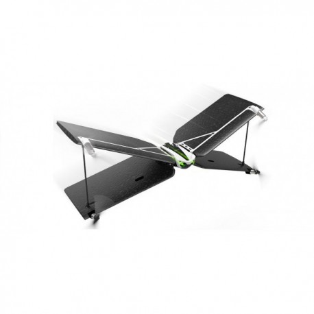 Parrot Swing