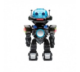 Robi, The Robot