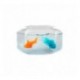 Aquabot Pack con pecera
