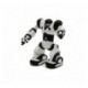 Mini Robosapien