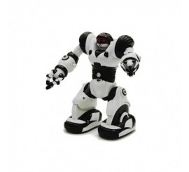 Mini Robosapien