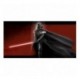 Poster Darth Vader con cristal templado