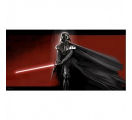 Poster Darth Vader con cristal templado
