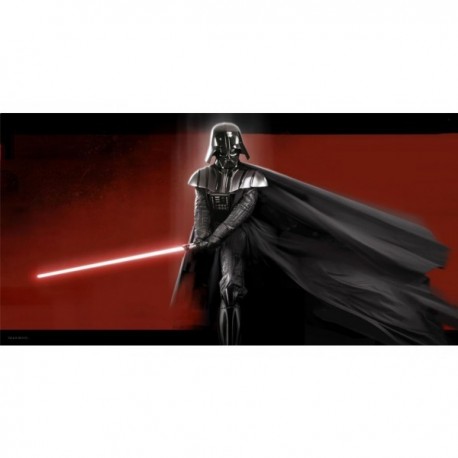 Poster Darth Vader con cristal templado