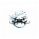 Aquadrone