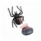 Araña Trepadora